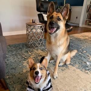 Meet your Posher, Jillian